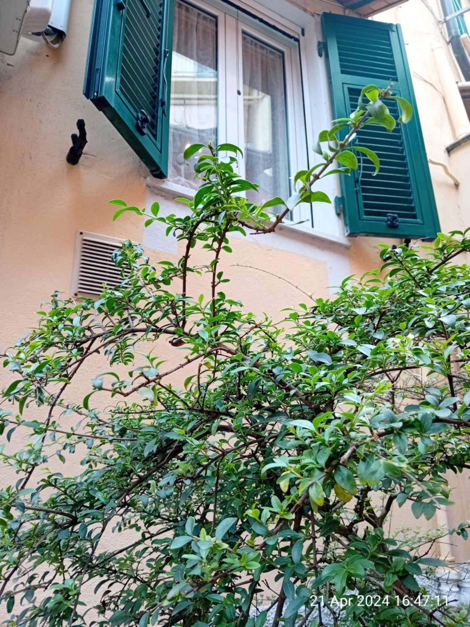 Appartamento Il Vicolo La Spezia Cinque Terre Exteriér fotografie