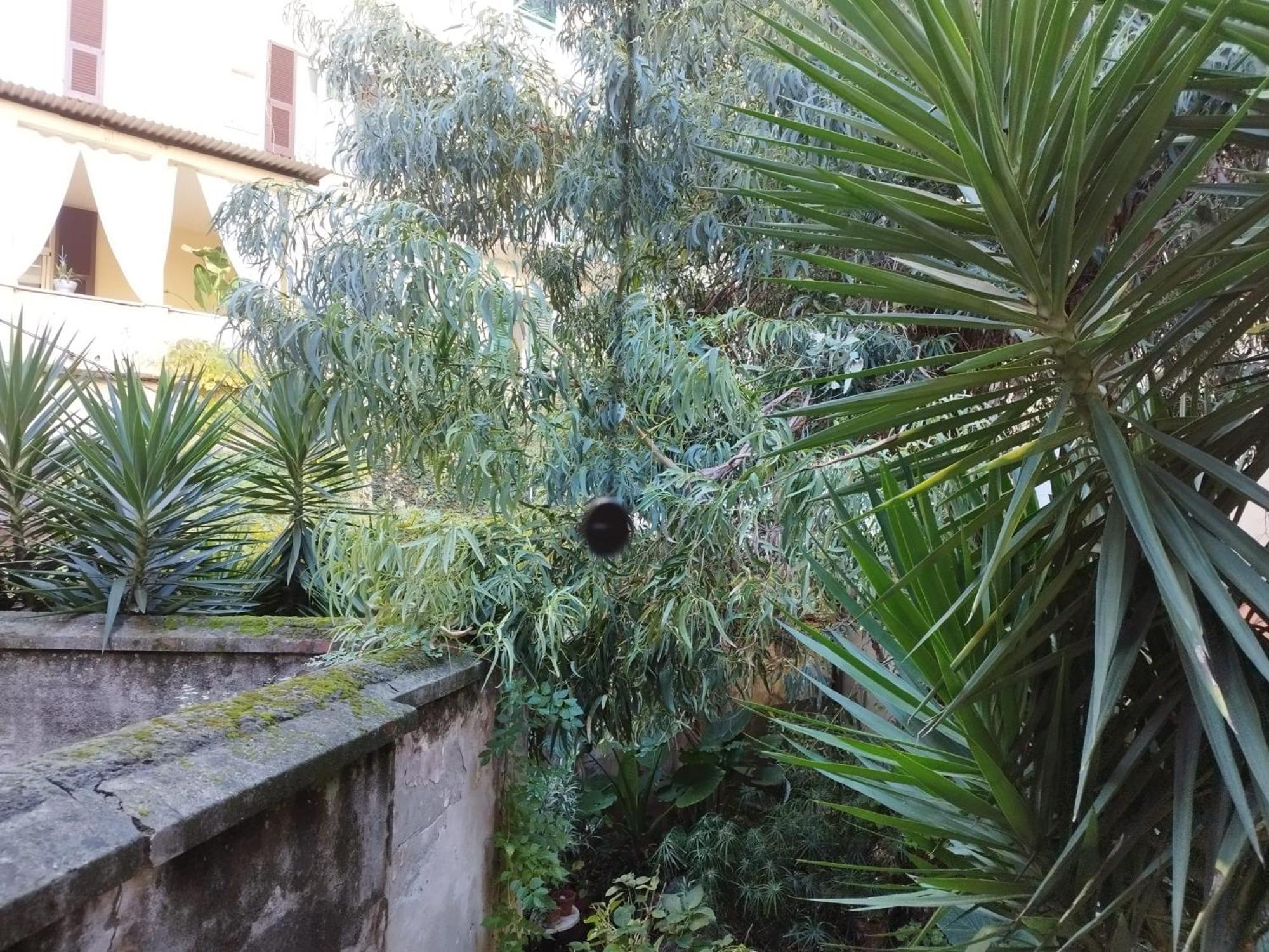 Appartamento Il Vicolo La Spezia Cinque Terre Exteriér fotografie